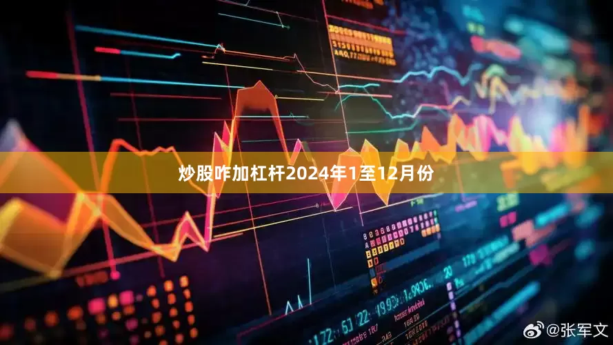 炒股咋加杠杆2024年1至12月份