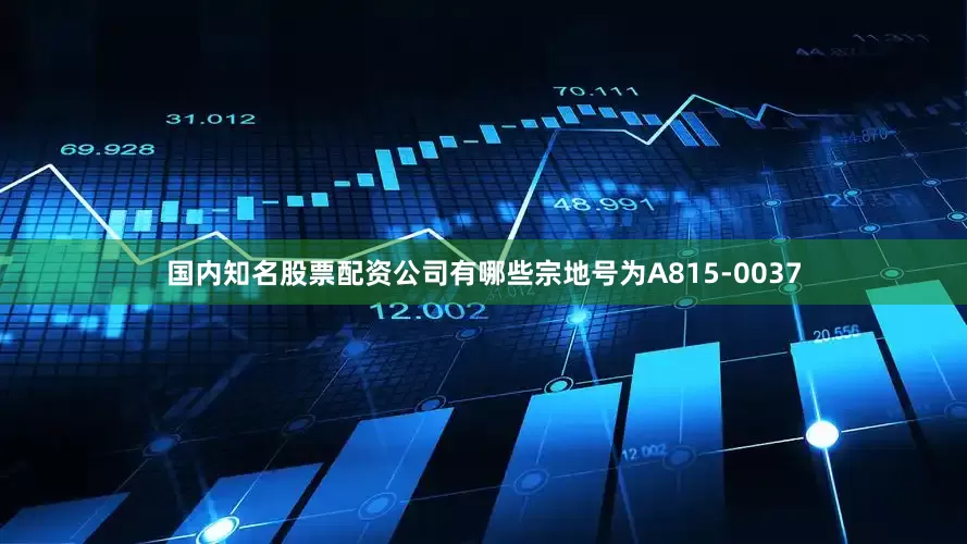 国内知名股票配资公司有哪些宗地号为A815-0037